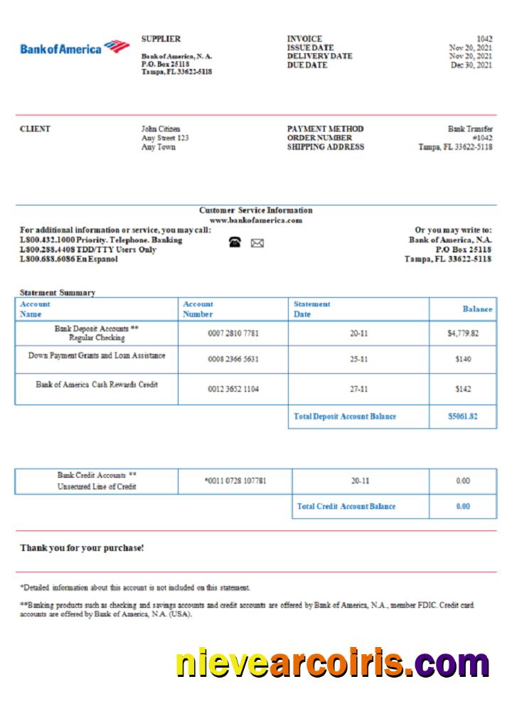 USA Bank of America invoice